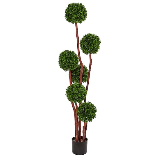 5ft. Potted Boxwood Tree